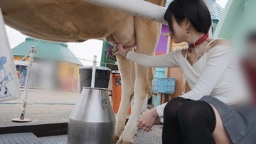 はじめての乳搾り