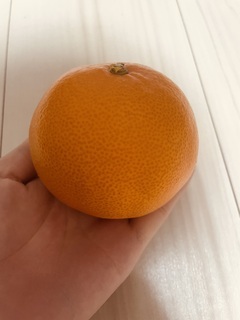 \(ありがとうございました ◡̈ )/