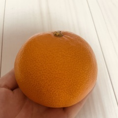 \(ありがとうございました ◡̈ )/