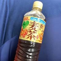 ムチの日