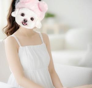 いつもありがとうございます
