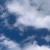 ガチガチバチバチに