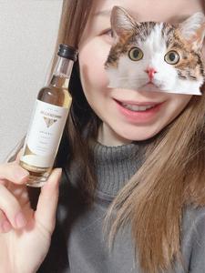 おやすみなさい