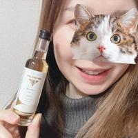 おやすみなさい