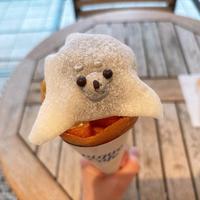 おでかけ