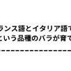 HPを作ってる