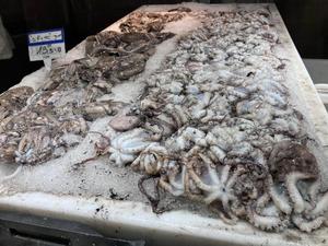 11月上旬の出勤予定