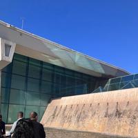 【悲報】フライトが消失ちゅにしあ