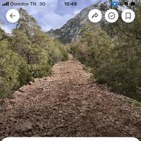 Day3.ハイキングに行くぞー！