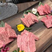 【お題】お正月なにしてた？