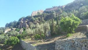 2026年は富士山登る