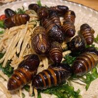 【お題】1時間我慢するならG100匹と大嫌いな人の言いなり