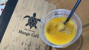 エグゼクティブコーチング