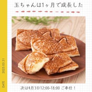 玉ちゃんは1ヶ月で成長した