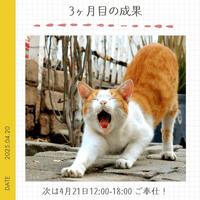 3ヶ月目の成果