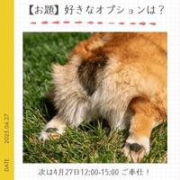 【お題】好きなオプションは？