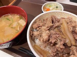 玉ちゃんの一日