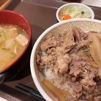 玉ちゃんの一日