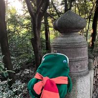 【悲報】