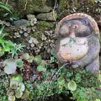 【悲報】パンツ丸見えだった件について