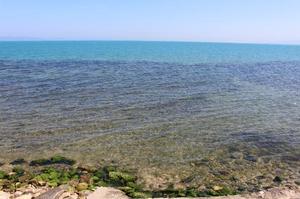 夏だ!海だ!