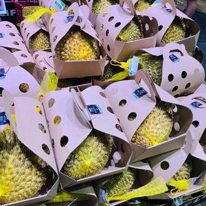 水素の飼料展開