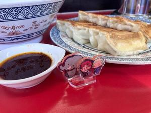ビジネスの理想は宇都宮餃子
