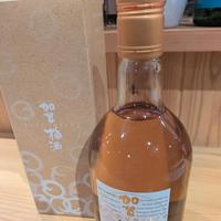 本日