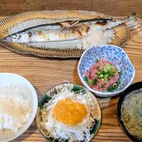 新サンマ…