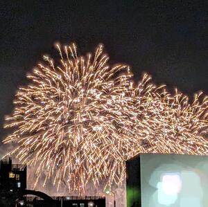 やっと見られました