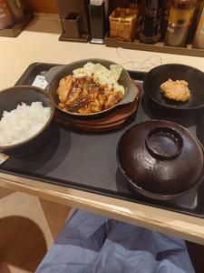 こんばんは