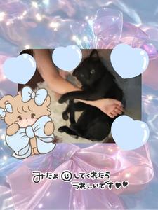 まったりと…