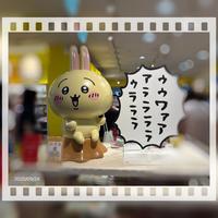今年の運を…