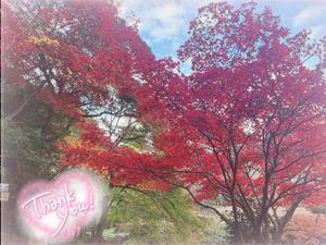 あっという間に…