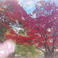 あっという間に…