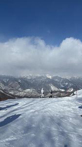 おはようございます