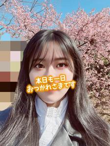 趣味の話〜映画〜