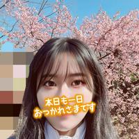 趣味の話〜映画〜