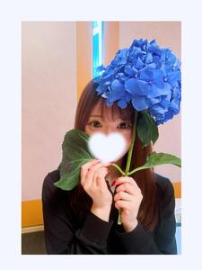 紫陽花の行方