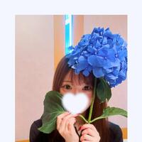 紫陽花の行方