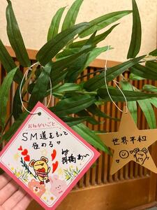 お願いごとは？