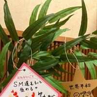 お願いごとは？