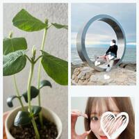7/7.7/8感謝 