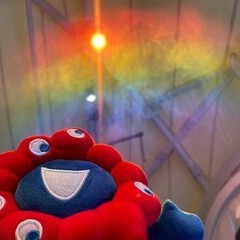 雨の後の虹が好き