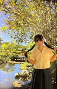 遊びにいきます
