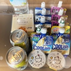 先日の嘔吐食