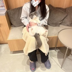 ぺろぺろしてる動画だよ