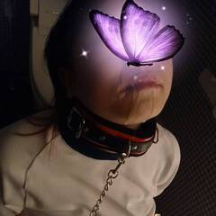 びっちゃびちゃ〜