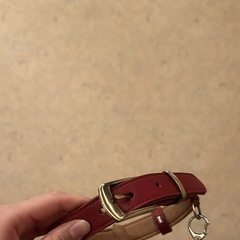 ご主人様の専属ペット