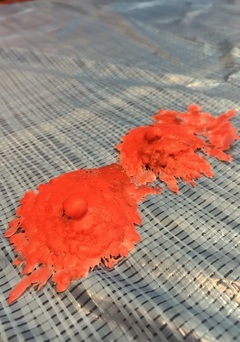 なんでしょうっ！！